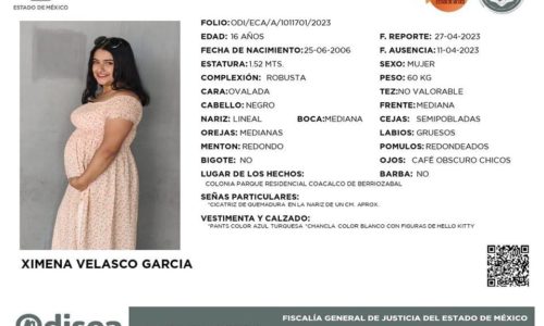 Urge localizar menor desaparecida Ximena Velazco García