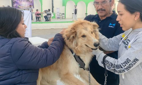 SERVICIOS GRATUITOS PARA MASCOTAS EN LA COMUNIDAD DE EMILIANO ZAPATA, EN PABELLÓN DE ARTEAGA