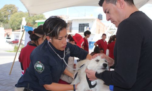 ANUNCIA PROESPA SERVICIOS VETERINARIOS GRATUITOS EN LA COMUNIDAD EL MALACATE, ESTE 28 DE JULIO