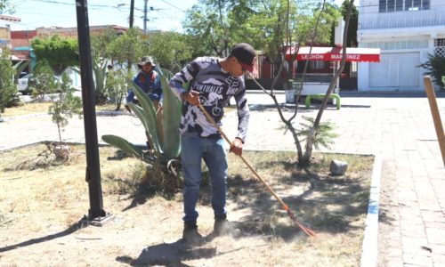 CONTRATA MUNICIPIO NUEVO PERSONAL PARA MANTENIMIENTO Y MEJORA DE ESPACIOS PÚBLICOS