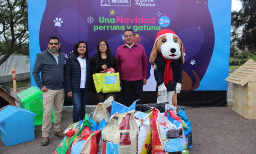 FAMILIAS DE AGUASCALIENTES APADRINAN A GATITOS Y PERRITOS DE ALBERGUES ESTA NAVIDAD