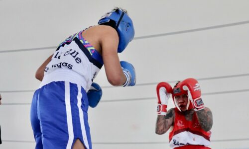 AVANZAN ELIMINATORIAS DEL TORNEO DE BOX “BUSCANDO AL GIGANTE DE MÉXICO… DE LA CALLE A LAS VEGAS”