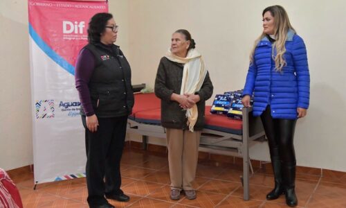 ENTREGA DE CAMA HOSPITALARIA, DIF