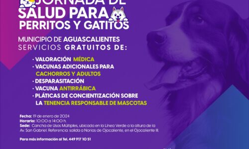 PROESPA REANUDA ATENCIÓN MÉDICA GRATUITA PARA MASCOTAS ESTE VIERNES EN LA LÍNEA VERDE