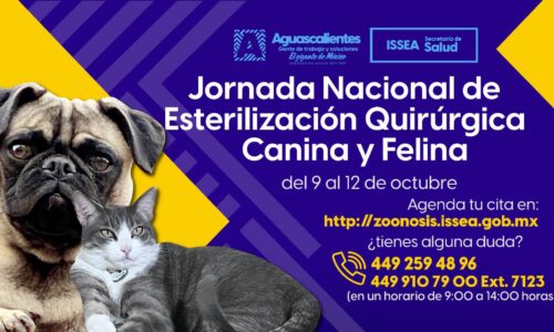 Del 9 al 12 de octubre, tendremos una jornada de esterilización canina y felina en el municipio de Aguascalientes