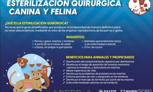 ¡Cuida la salud de tu mascota!