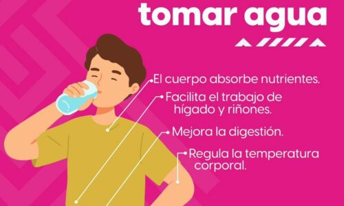 Beber agua es esencial para mantener tu salud en óptimas condiciones.