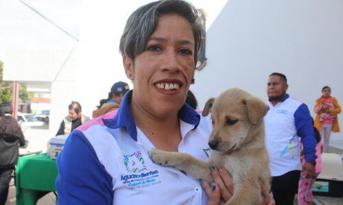 SE ACERCARÁN SERVICIOS VETERINARIOS GRATUITOS PARA MASCOTAS EN SAN FRANCISCO DE LOS ROMO EL PRÓXIMO LUNES