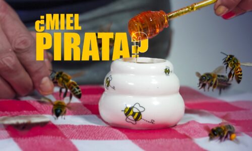 ¿LA MIEL QUE CONSUMES ES NATURAL O ESTÁ ADULTERADA? APRENDE A IDENTIFICARLA