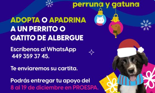 INVITA PROESPA A APADRINAR A UN GATITO O PERRITO DE ALBERGUE ESTA NAVIDAD