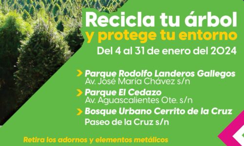 ABREN CENTROS DE ACOPIO PARA ÁRBOLES NATURALES NAVIDEÑOS