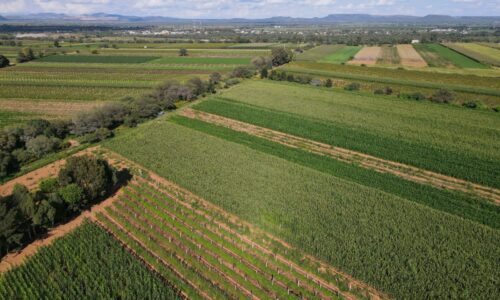 ANUNCIA TERE JIMÉNEZ APOYOS PARA EQUIPAMIENTO DE POZOS EN EL CAMPO DE AGUASCALIENTES