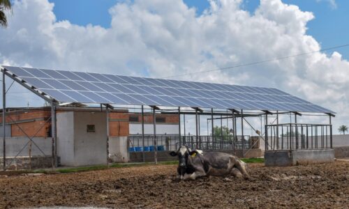 GANADEROS PODRÁN ACCEDER A APOYOS PARA LA INSTALACIÓN DE PANELES SOLARES: TERE JIMÉNEZ