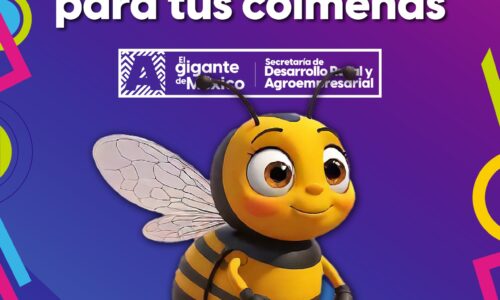 TERE JIMÉNEZ ANUNCIA APOYOS PARA APICULTORES DE AGUASCALIENTES