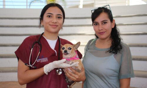 PROESPA OFRECERÁ SERVICIOS VETERINARIOS GRATUITOS EN LA VICTORIA, TEPEZALÁ