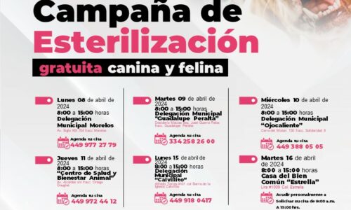 INVITA SALUD MUNICIPAL A LAS CAMPAÑAS DE ESTERILIZACIÓN GRATUITAS PARA CANINOS Y FELINOS