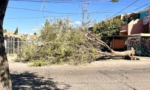 EMITE PROTECCIÓN CIVIL MUNICIPAL RECOMENDACIONES ANTE LA PRESENCIA DE RÁFAGAS DE VIENTO