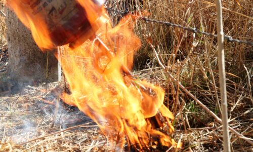 EN MARCHA OPERATIVO PARA PREVENIR INCENDIOS FORESTALES EN AGUASCALIENTES