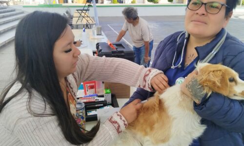 ESTA SEMANA SERVICIOS VETERINARIOS GRATUITOS EN LAS COLONIAS SAN CAYETANO Y POCITOS, EN LA CIUDAD CAPITAL