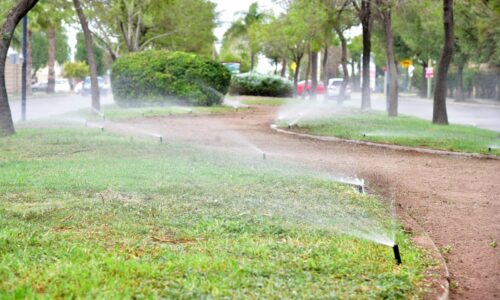 INVITA MUNICIPIO A PARTICIPAR COMO CIUDADANOS AMBIENTALMENTE RESPONSABLES Y ADOPTAR UN ÁRBOL