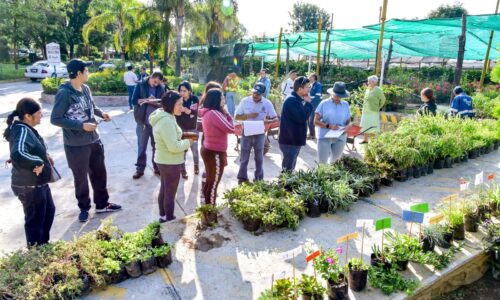 INVITA VIVERO MUNICIPAL ACUDIR ESTE JUEVES A LA DONACIÓN DE PLANTAS