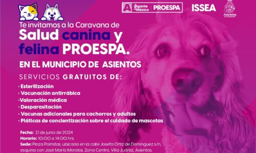 OFRECERÁN SERVICIOS VETERINARIOS GRATUITOS ESTE VIERNES EN EL MUNICIPIO DE ASIENTOS