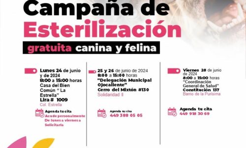 MUNICIPIO E ISSEA OFRECERÁN CIRUGÍAS GRATUITAS DE ESTERILIZACIÓN PARA CANINOS Y FELINOS