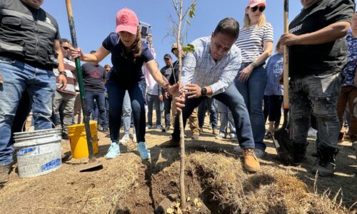 GOBIERNO DEL ESTADO Y MUNICIPIO CAPITAL ENCABEZAN JORNADA DE REFORESTACIÓN EN EX RELLENO SANITARIO CUMBRES