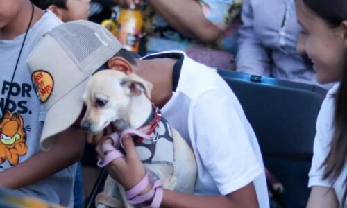 LLAMAN A SEGUIR SENCILLAS RECOMENDACIONES PARA EVITAR GOLPES DE CALOR EN LAS MASCOTAS