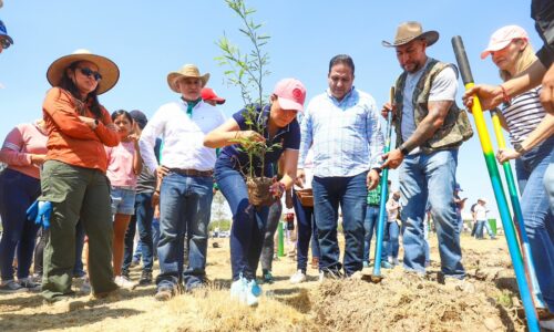 ENCABEZA TERE JIMÉNEZ JORNADA DE REFORESTACIÓN CON ESPECIES NATIVAS QUE TENDRÁN SEGUIMIENTO