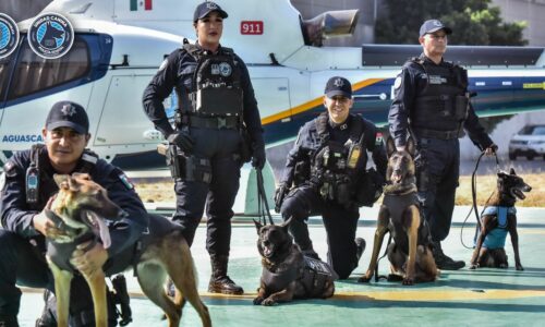 NUEVOS AGENTES CANINOS SE INTEGRAN A LA UNIDAD K9 DE LA SSPE