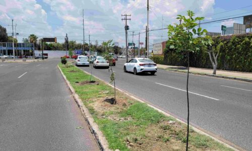 REFUERZA MUNICIPIO DE AGUASCALIENTES ACCIONES DE REFORESTACIÓN