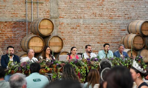 CATAS URBANAS EN LOS 4 BARRIOS, LA CORRIDA DE LA INSURGENCIA Y MUCHO MÁS, EN “VIVE LAS VENDIMIAS” DE LA RUTA DEL VINO 2024