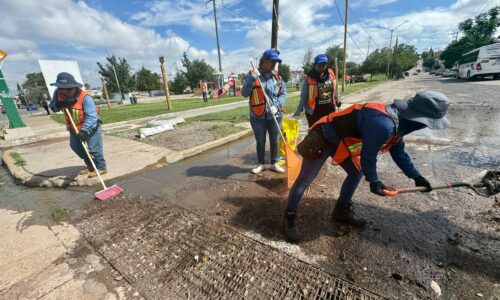 INTENSIFICA MUNICIPIO JORNADAS DE LIMPIA DE CAIMANES EN LÍNEA VERDE