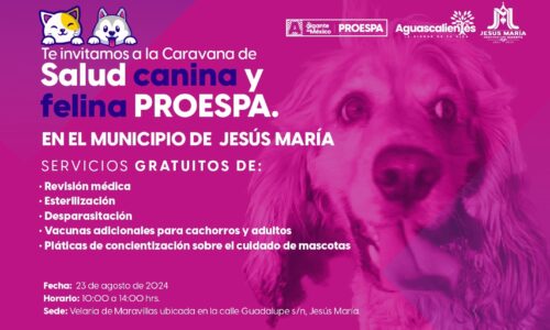 ESTE VIERNES, SERVICIOS VETERINARIOS, ESTERILIZACIONES Y VACUNAS GRATUITAS EN MARAVILLAS