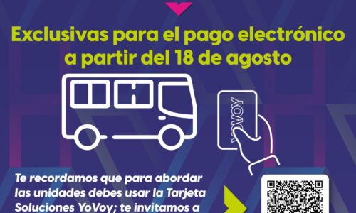 A PARTIR DEL PRÓXIMO DOMINGO LAS RUTAS 12, 19, 29 Y 36 SE SUMAN AL PAGO ELECTRÓNICO