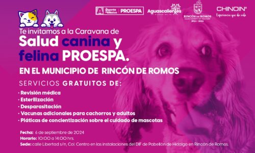 EL GOBIERNO DEL ESTADO LLEVARÁ A PABELLÓN DE HIDALGO SERVICIOS VETERINARIOS GRATUITOS ESTE VIERNES