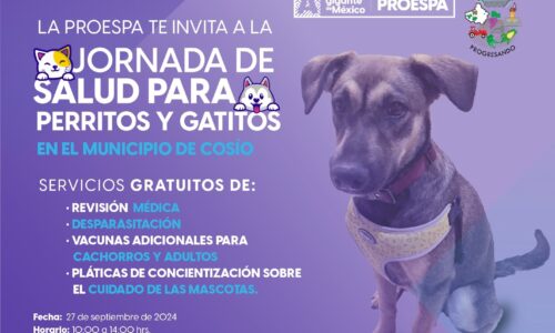 ESTE VIERNES LLEGAN SERVICIOS VETERINARIOS GRATUITOS HASTA REFUGIO DE LA PROVIDENCIA, EN COSÍO