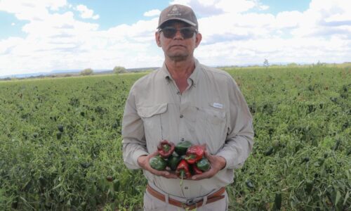 TERE JIMÉNEZ IMPULSA EL FORTALECIMIENTO DE PRODUCTORES LOCALES