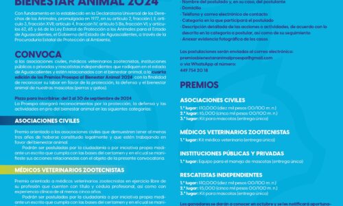 GOBIERNO DEL ESTADO RECONOCERÁ A ACTIVISTAS QUE LUCHAN POR LA PROTECCIÓN ANIMAL