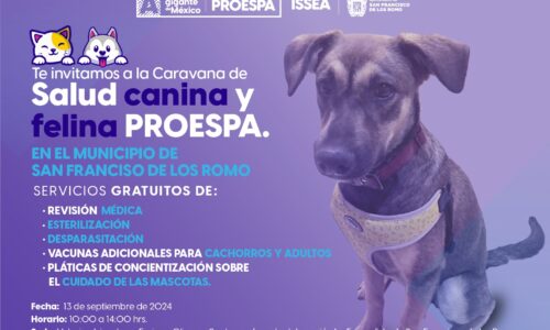 ESTE VIERNES, SERVICIOS VETERINARIOS GRATUITOS EN LA COMUNIDAD LA ESCONDIDA, EN SAN PANCHO