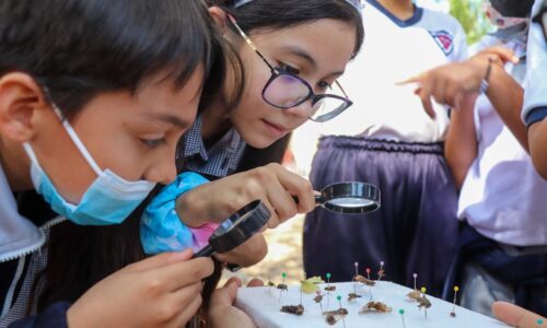 OFRECE MUNICIPIO DE AGUASCALIENTES TALLERES GRATUITOS DE MEDIO AMBIENTE