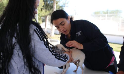 LLEGAN SERVICIOS VETERINARIOS GRATUITOS A LOS ALAMITOS EN TEPEZALÁ