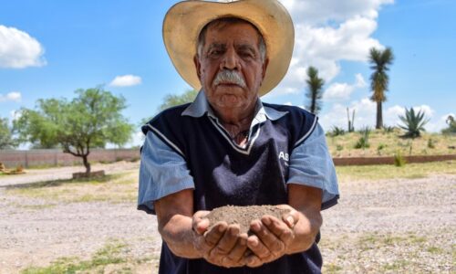 ABIERTA LA CONVOCATORIA PARA BENEFICIAR A PRODUCTORES AGRÍCOLAS; CON COMPOSTA NUTREN SU SUELO Y OBTIENEN MEJORES CULTIVOS