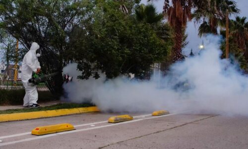 SIGUEN LAS ACCIONES PARA PREVENIR EL DENGUE