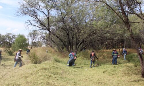 REALIZA MUNICIPIO MEGA OPERATIVO DE LIMPIEZA EN LA PONA