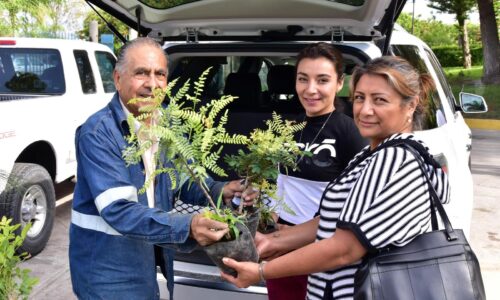 MUNICIPIO CIERRA CON ÉXITO PROGRAMA ANUAL DE DONACIÓN DE ÁRBOLES Y PLANTAS 2024