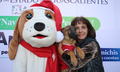 EN AGUASCALIENTES LA NAVIDAD LLEGÓ A ALBERGUES DE PERRITOS Y GATITOS