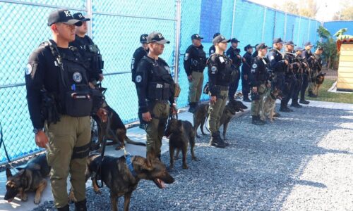 UNIDAD K-9 DE LA POLICÍA ESTATAL REFUERZA BLINDAJE AGUASCALIENTES