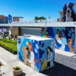 MIL 872 SERVICIOS BRINDÓ EL HOSPITAL VETERINARIO MUNICIPAL ESTE 2025